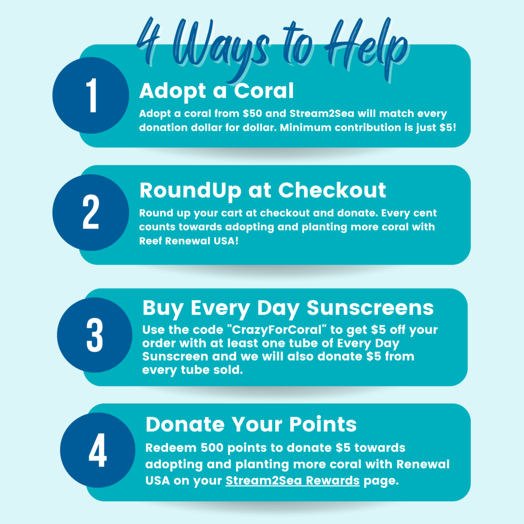 Help plant coral and stay safe from tje sun this summer with Stream2Sea.