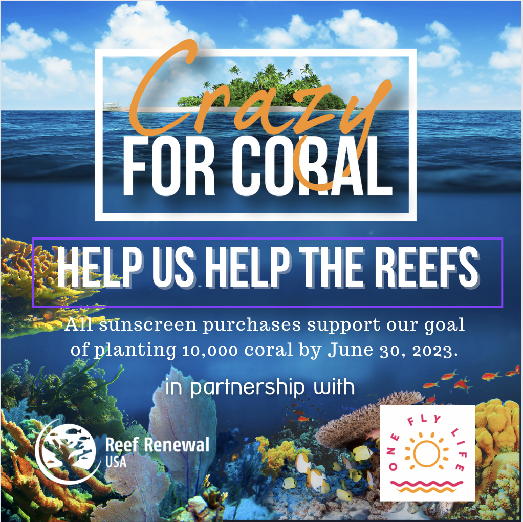 crazy for coral help save the reefs with mineral sunscreen